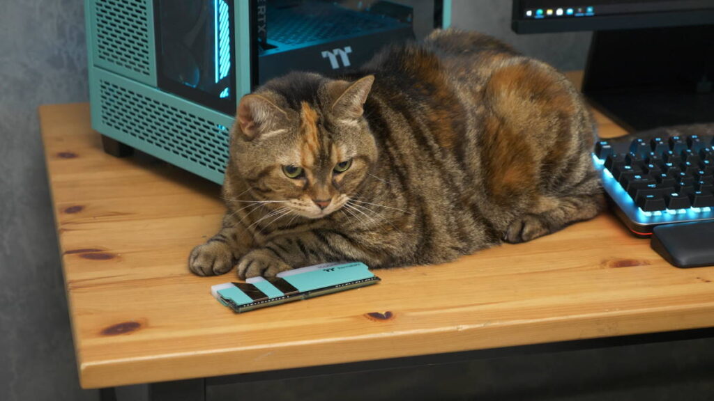 Thermaltake ผู้นำเทรนด์แฟชันพีซีและเกมมิ่ง ส่งอุปกรณ์หลากหลายสีสันเพื่อสร้างไลฟ์สไตล์ในแบบของคุณ 7 Screenshot 1