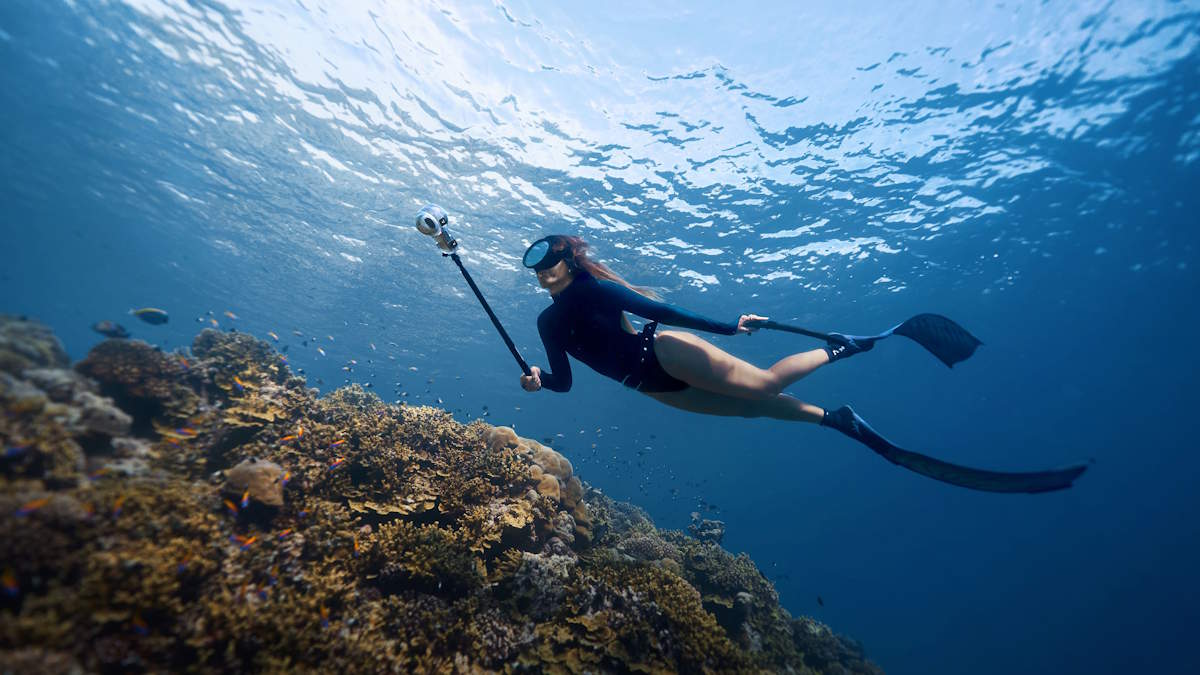 Diving 2