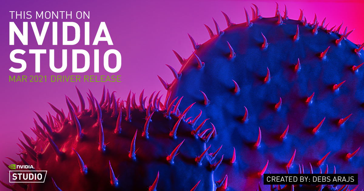 nvidia studio driver