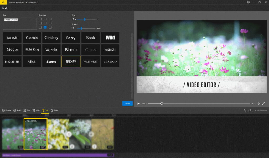 Ice Video Editor Text