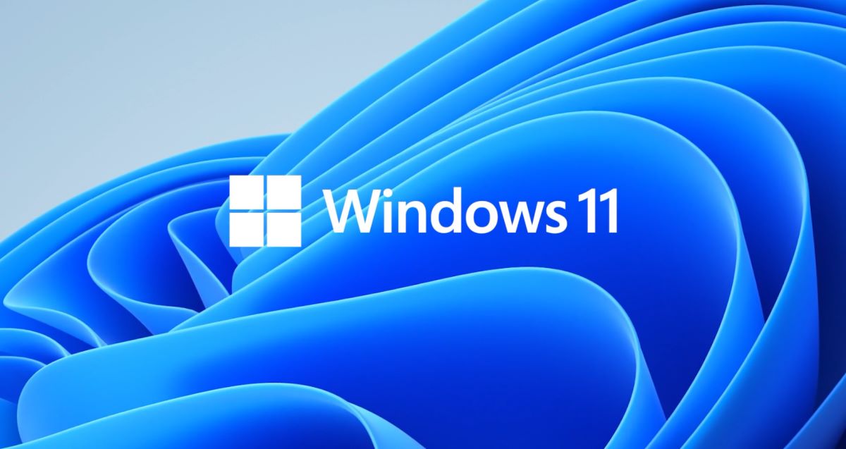 windows 11