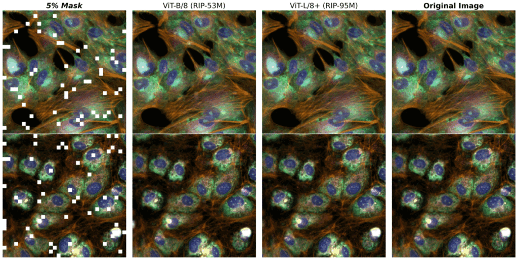 284404362 c15f46b1 cdb9 41a7 a4af bdc9684a971d