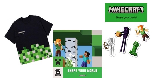 Minecraft Limited Edition 1