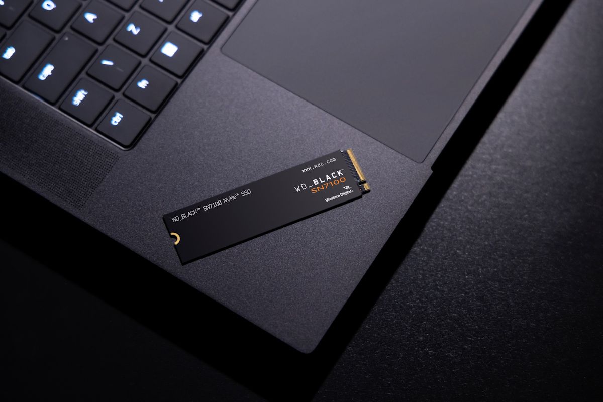 WD BLACK SN7100 NVMe SSD Life 16 rz