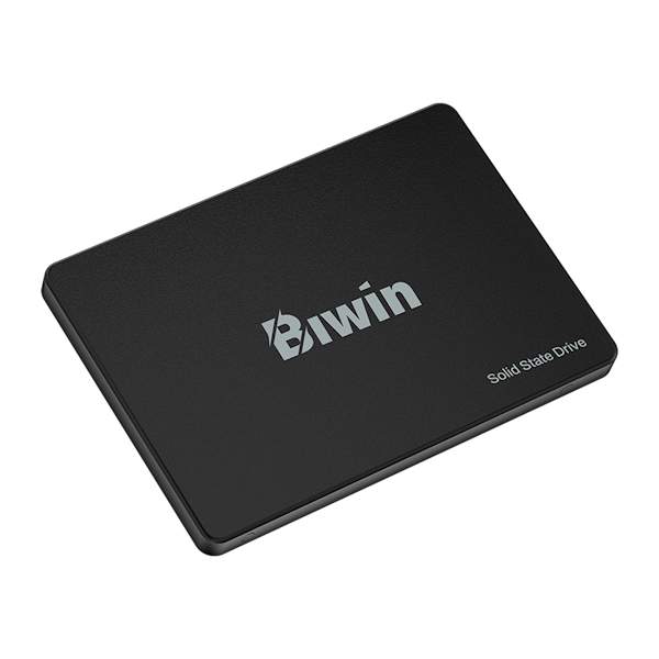 4 biwin m100 2