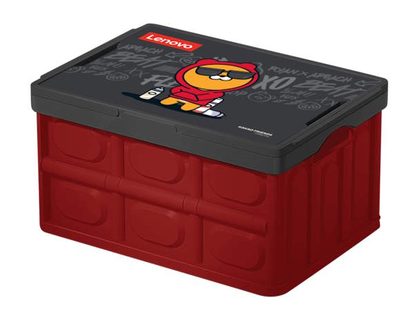 Collapsible Storage