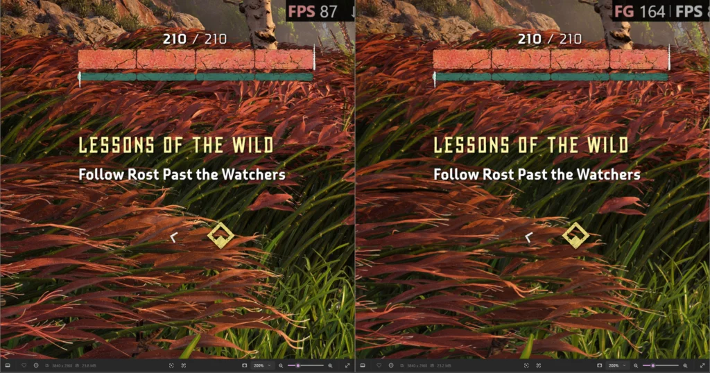 Native vs FSRFG