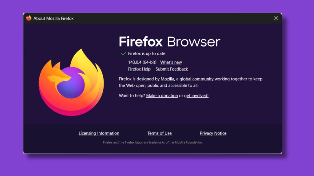 Firefox 14304