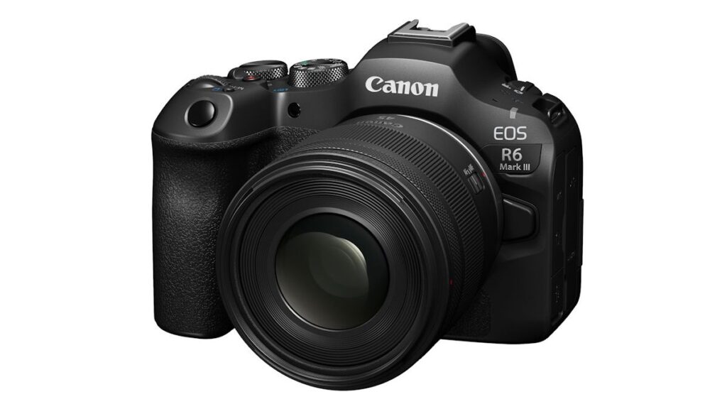 EOS R6 Mark III and RF45mm f 1.2 STM 01