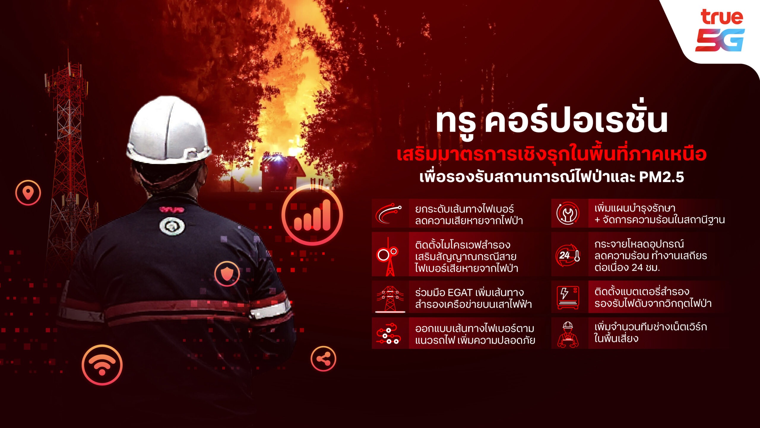 Infographic TRUE wildfire 16 9size scaled