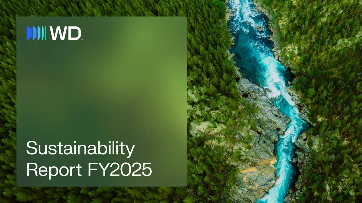 WD FY2025