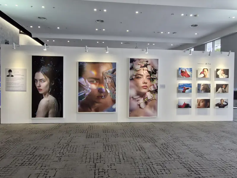 EpsonxSony 4